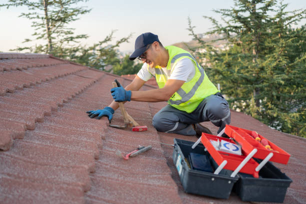 Best Commercial Roofing Services  in Silver Lake, KS