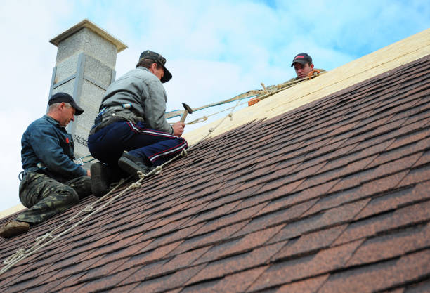 Best Roof Repair Specialists  in Silver Lake, KS