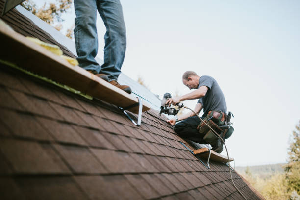 Best Local Roofing Companies  in Silver Lake, KS